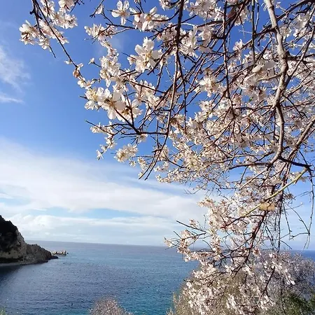 Ostria Agios Nikitas