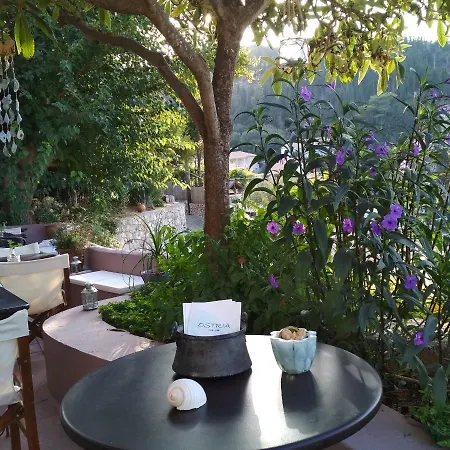 Ostria Guest house