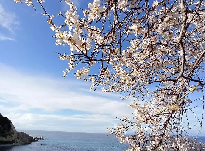 Ostria Áyios Nikítas